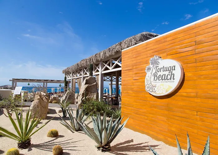 Sandos Finisterra 5* Cabo San Lucas
